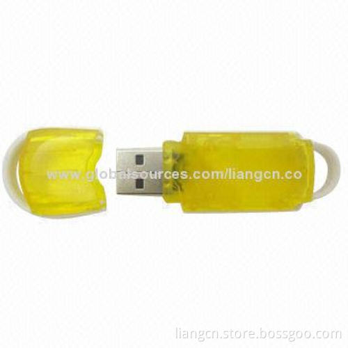 Transparent Plastic USB Flash Drive